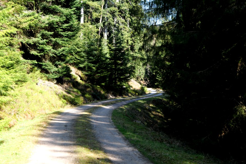 Untere Birkenaustraße 2020-03-15 12