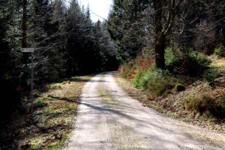 Untere Birkenaustraße 2020-03-15 21