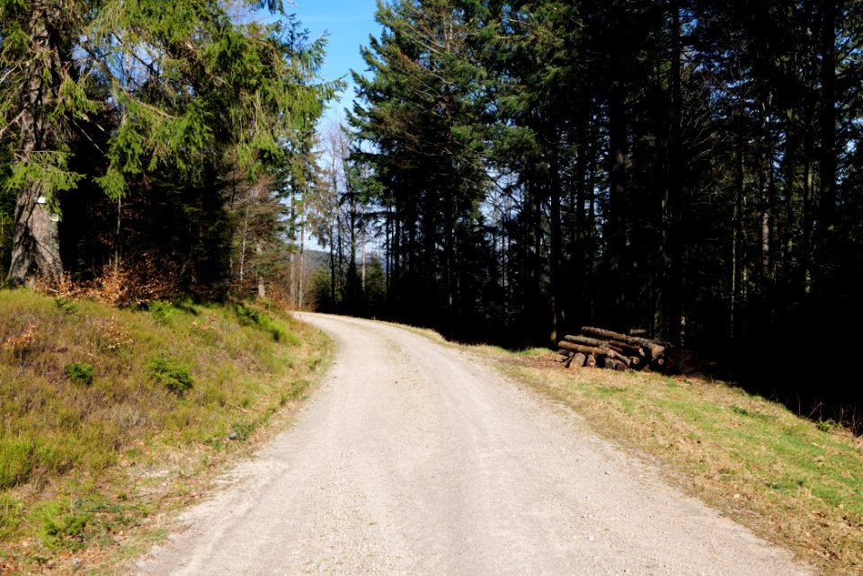Untere Birkenaustraße 2020-03-15 22