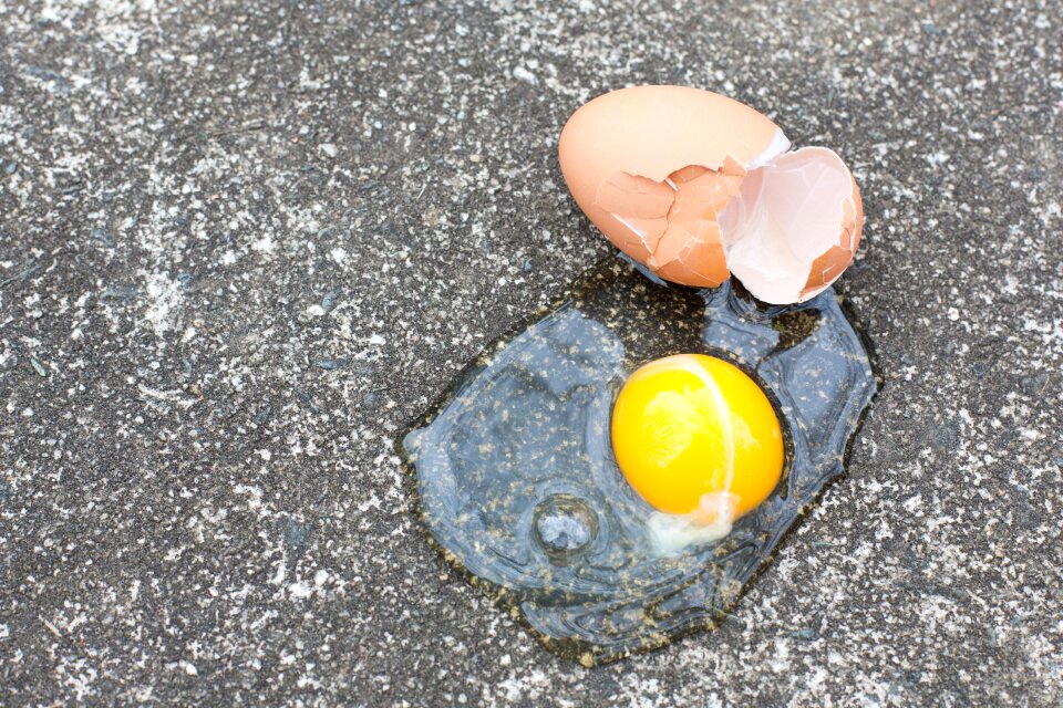 Broken gray egg gray eggs