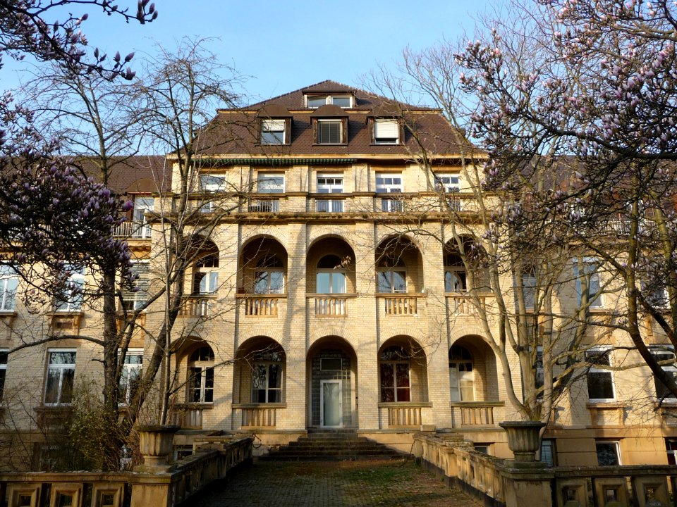 Universitaetsklinikum Mannheim 01
