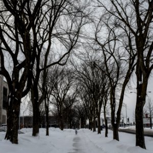 Université Laval, Quebec Canada 2