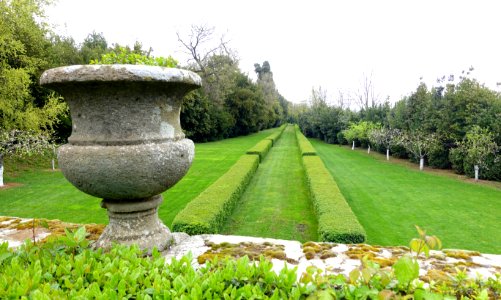 Urn and lawn - Castello Ruspoli - Vignanello, Italy - DSC02784