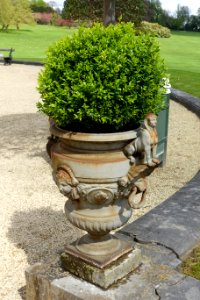Urn with sphynx - Royal Castle of Laeken - Brussels, Belgium - DSC07109