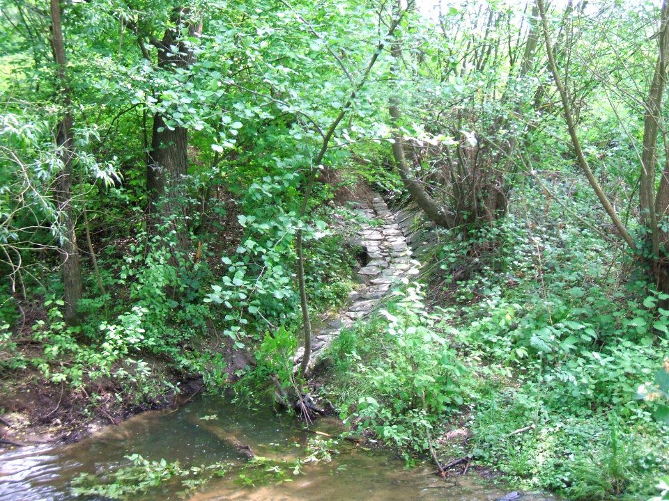 Usa Mündung Hainbach 2