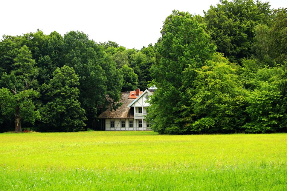 Ludwigslust-parchim castle park meadow
