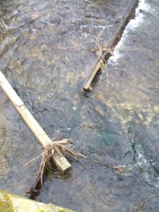 Usa Wehr für Kanal Teich Detail rechts photo