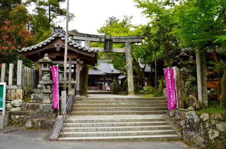 Urufushine-jinja, torii