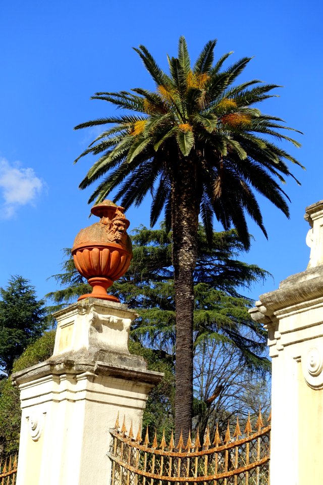 Urn - Rome, Italy - DSC09804