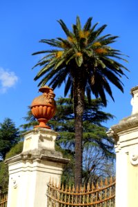 Urn - Rome, Italy - DSC09804