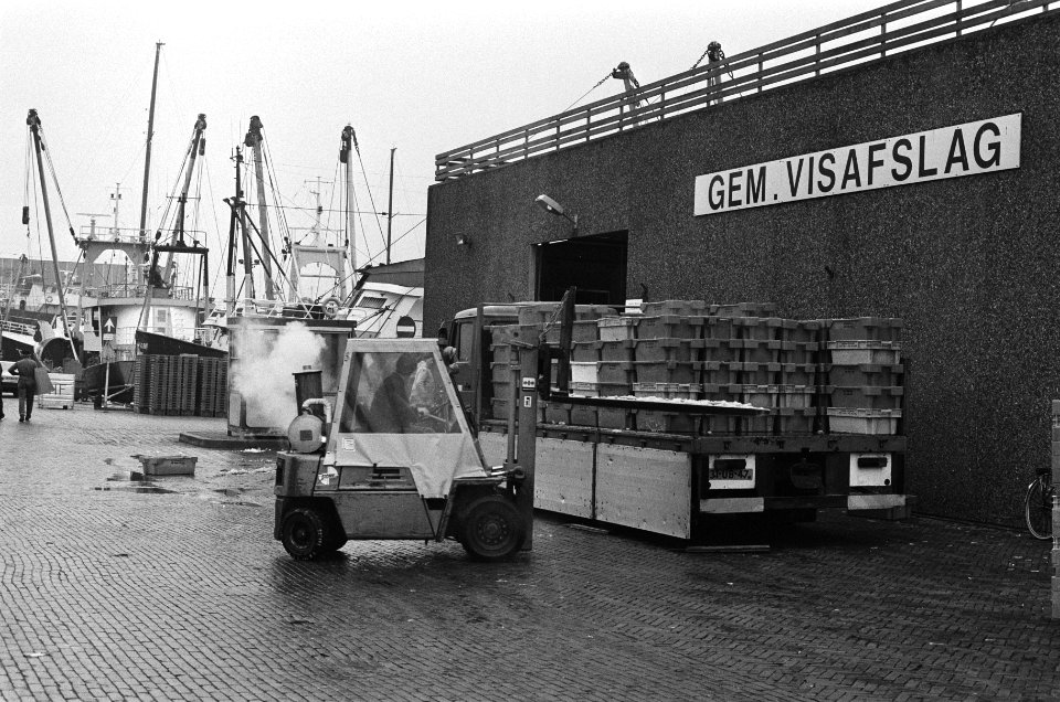 Urker vissersvloot voer vandaag niet uit in verband met vangstbeperking visafsl, Bestanddeelnr 933-5140