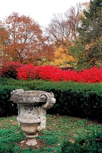 Urn, Mellon Park, 2008-11-08, 01