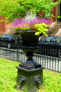 Urn, Concord Square - Boston, MA - DSC06861