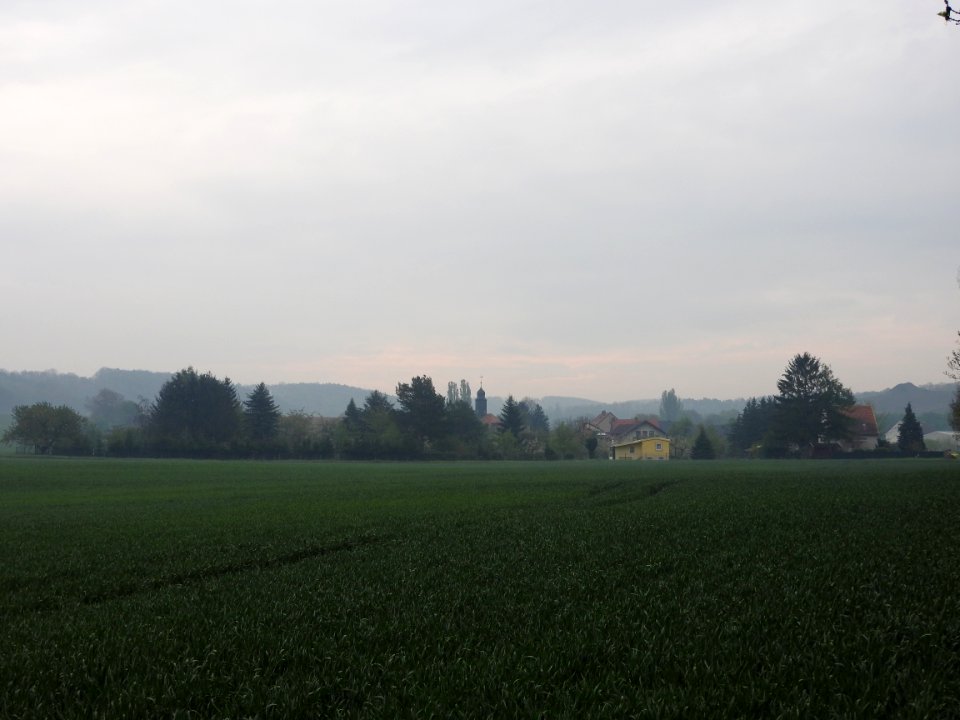 Untitz 01