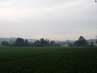 Untitz 01