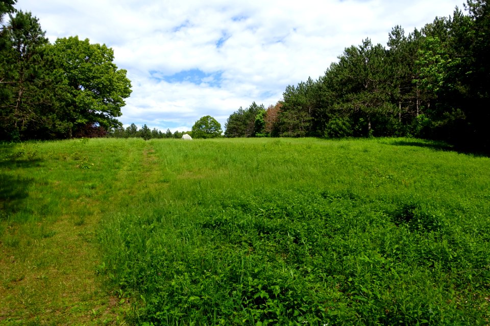 Upper Meadow - Doyle Community Park & Center - Leominster, Massachusetts - DSC06299