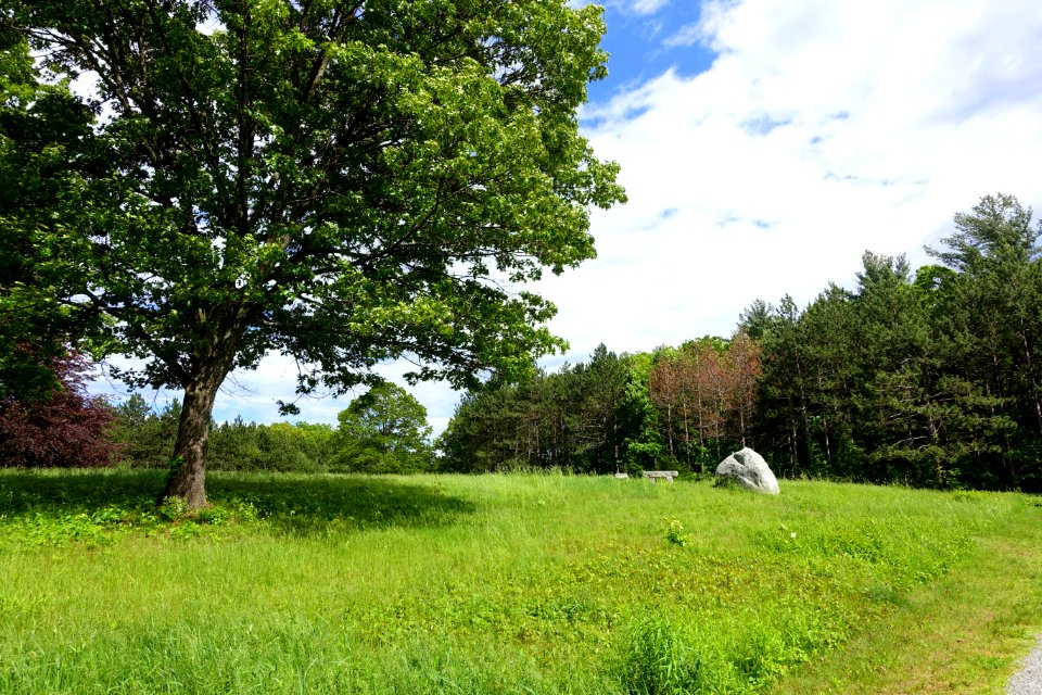 Upper Meadow - Doyle Community Park & Center - Leominster, Massachusetts - DSC06301