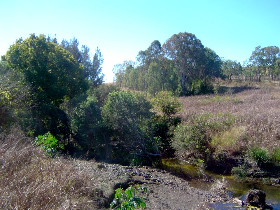 Upper Bremer River