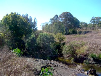 Upper Bremer River