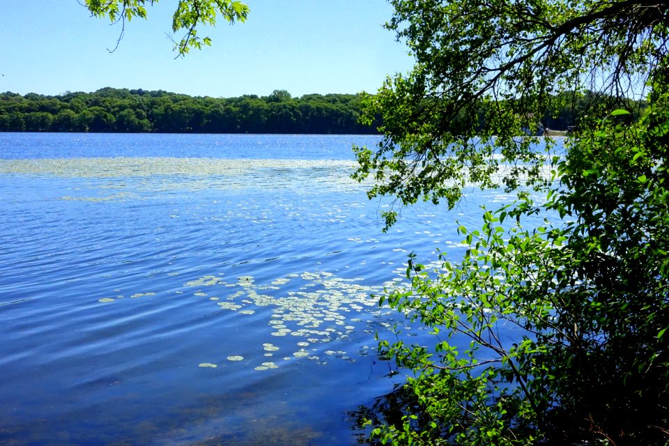 Upper Mystic Lake from the Window on the Mystic Lake - Arlington, MA - DSC02318