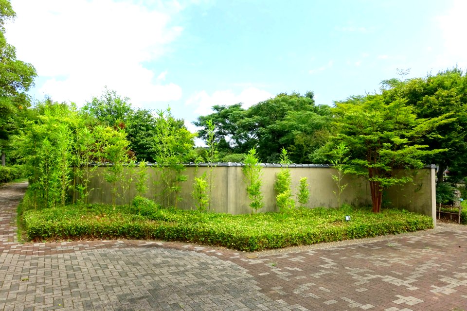 Urban Greening Botanical Garden - Kiba Park - Koto, Tokyo, Japan - DSC05314