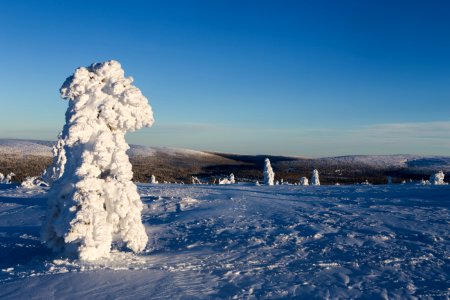 Uppe på Hundfjället