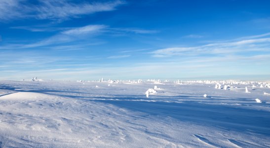 Uppe på Hundfjället-2