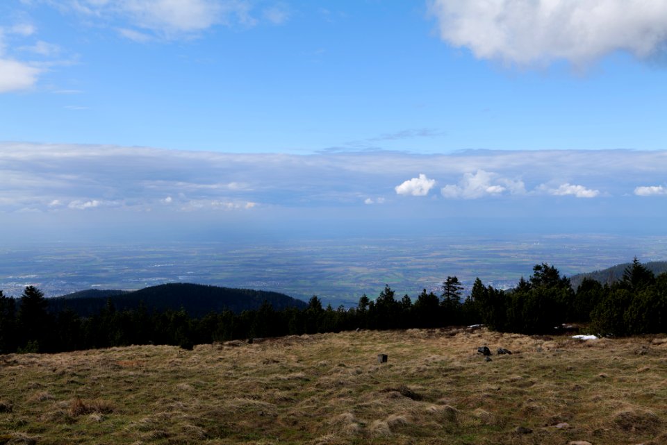 Upper Rhine Plain from Kleine Grinde 2020-03-14 05