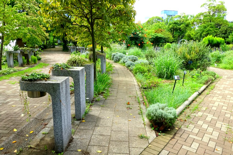 Urban Greening Botanical Garden - Kiba Park - Koto, Tokyo, Japan - DSC05332