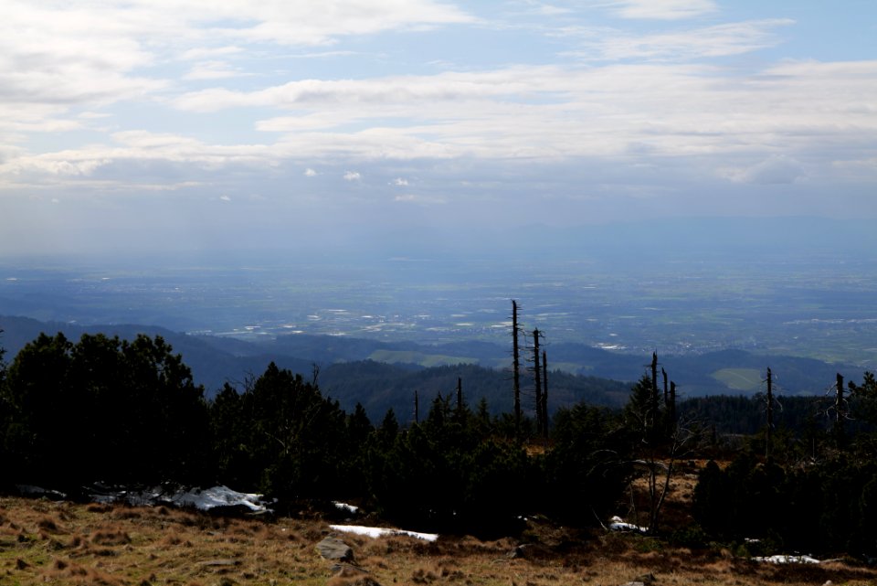 Upper Rhine Plain from Kleine Grinde 2020-03-14 08
