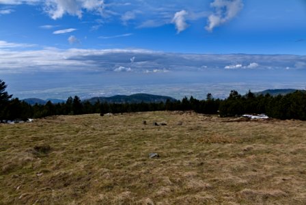 Upper Rhine Plain from Kleine Grinde 2020-03-14 pixel shift 01 photo