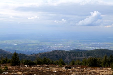 Upper Rhine Plain from Kleine Grinde 2020-03-14 13