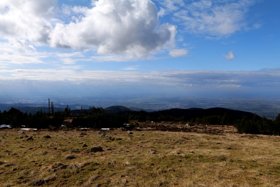 Upper Rhine Plain from Kleine Grinde 2020-03-14 10