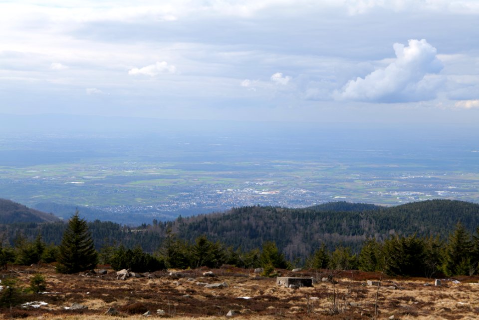 Upper Rhine Plain from Kleine Grinde 2020-03-14 12