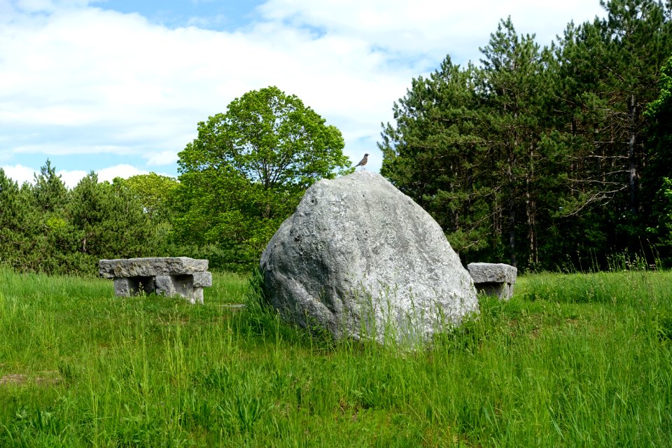 Upper Meadow - Doyle Community Park & Center - Leominster, Massachusetts - DSC06303