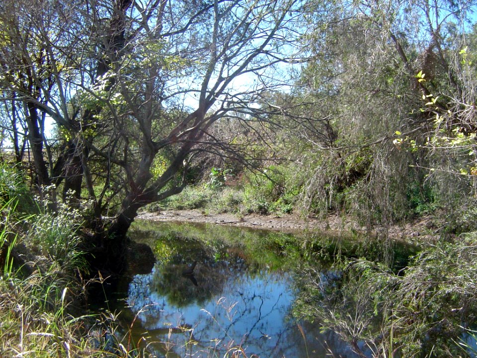 Upper Bremer River 2