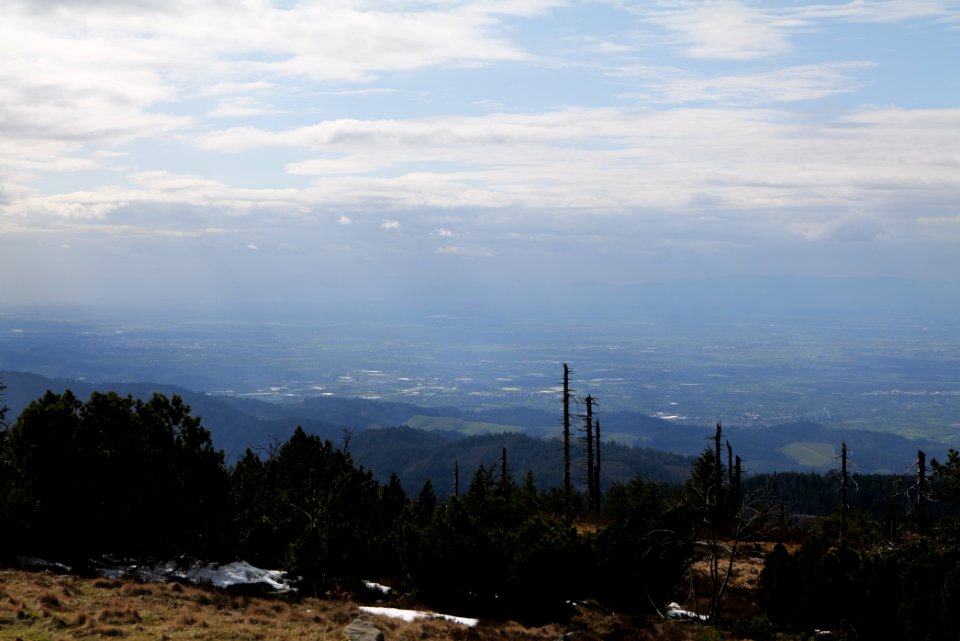 Upper Rhine Plain from Kleine Grinde 2020-03-14 09