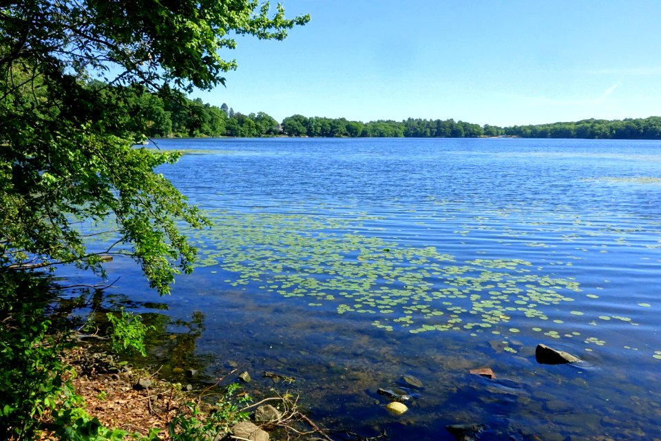 Upper Mystic Lake from the Window on the Mystic Lake - Arlington, MA - DSC02312