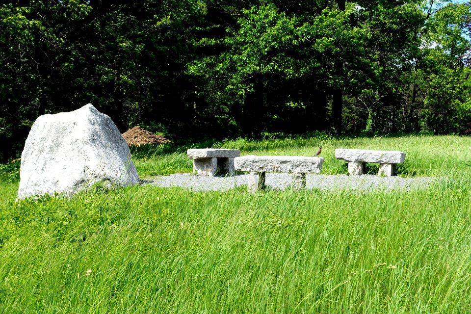 Upper Meadow - Doyle Community Park & Center - Leominster, Massachusetts - DSC06305