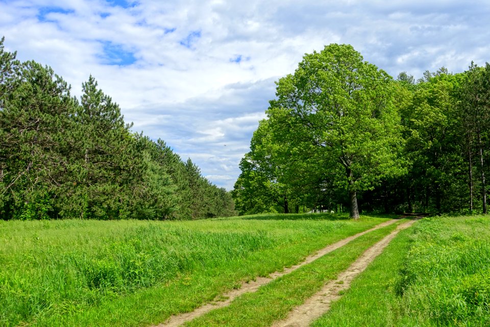 Upper Meadow - Doyle Community Park & Center - Leominster, Massachusetts - DSC06312