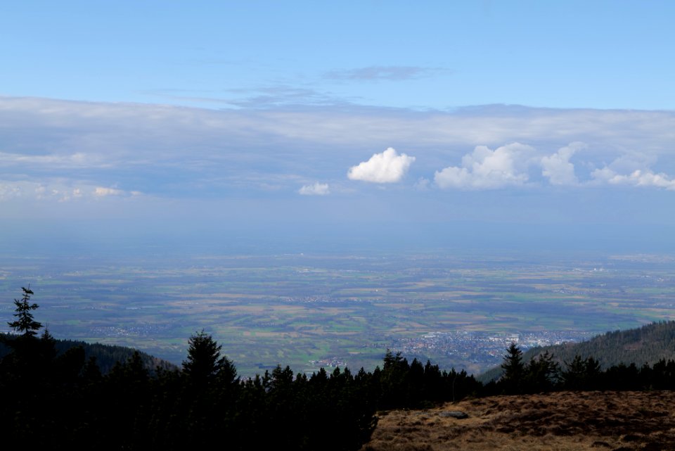 Upper Rhine Plain from Kleine Grinde 2020-03-14 03