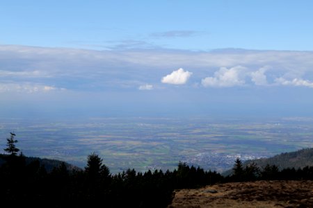 Upper Rhine Plain from Kleine Grinde 2020-03-14 03