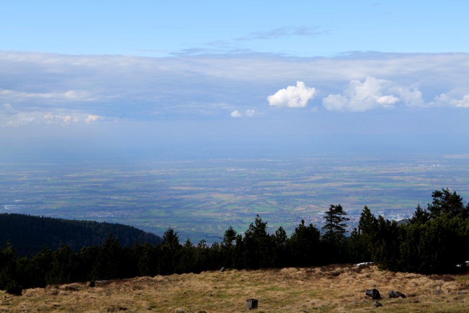 Upper Rhine Plain from Kleine Grinde 2020-03-14 04