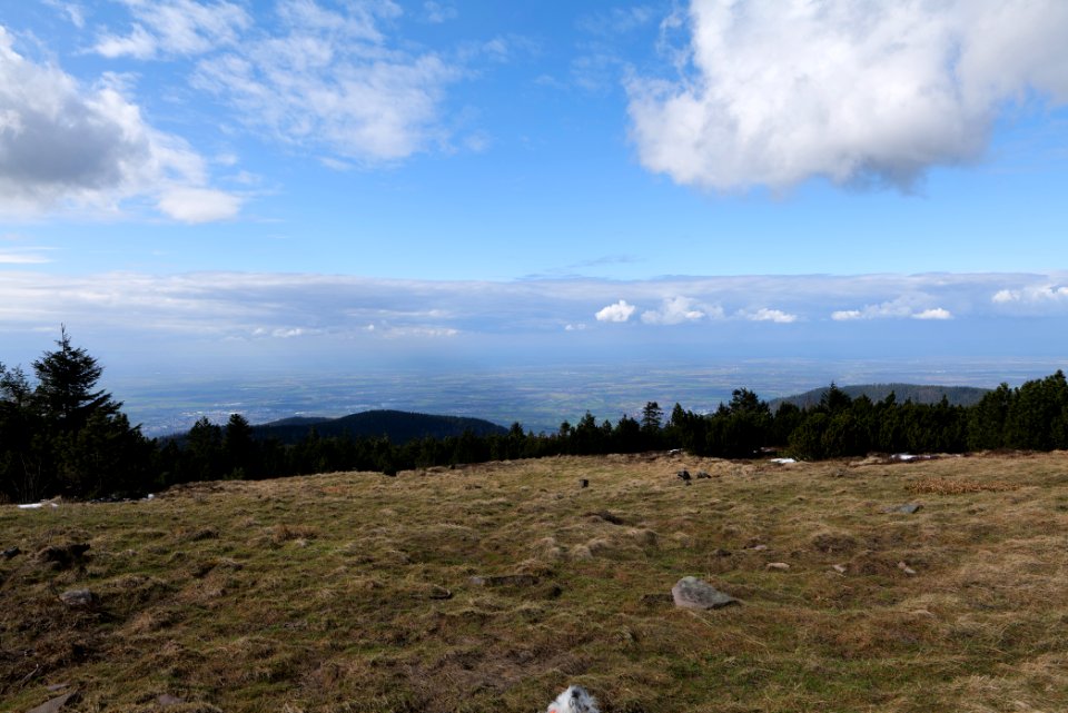 Upper Rhine Plain from Kleine Grinde 2020-03-14 06