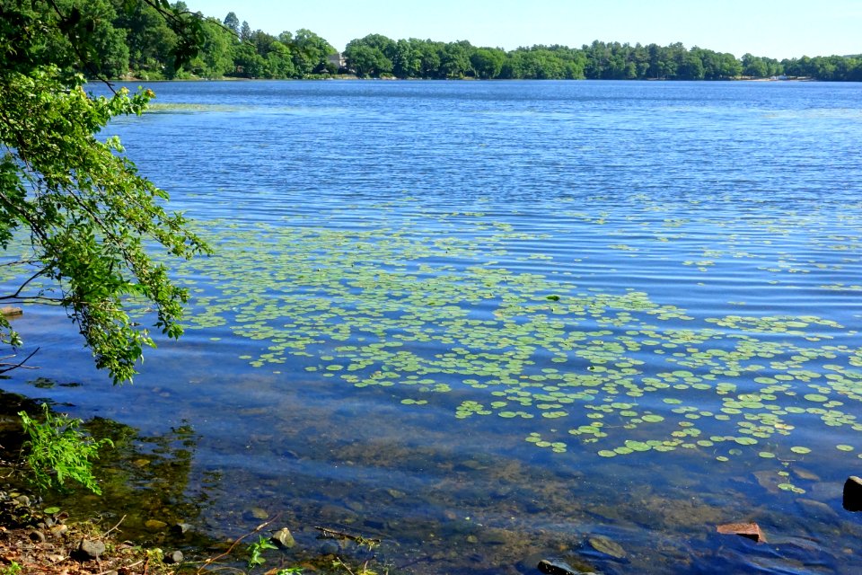 Upper Mystic Lake from the Window on the Mystic Lake - Arlington, MA - DSC02314