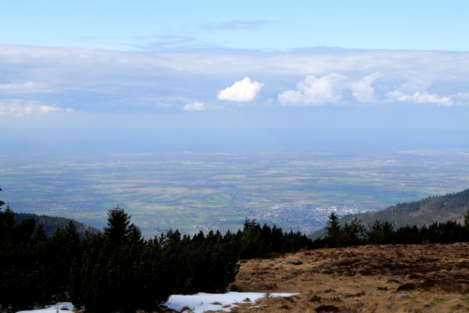 Upper Rhine Plain from Kleine Grinde 2020-03-14 01