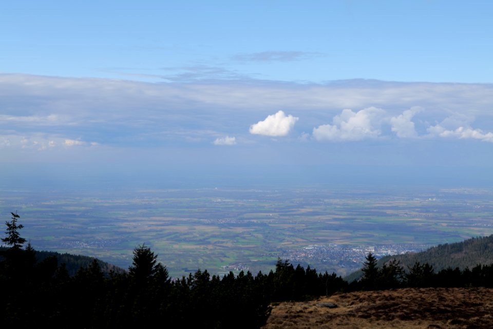 Upper Rhine Plain from Kleine Grinde 2020-03-14 02
