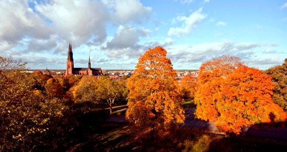Uppsala domkyrka oktober 2011