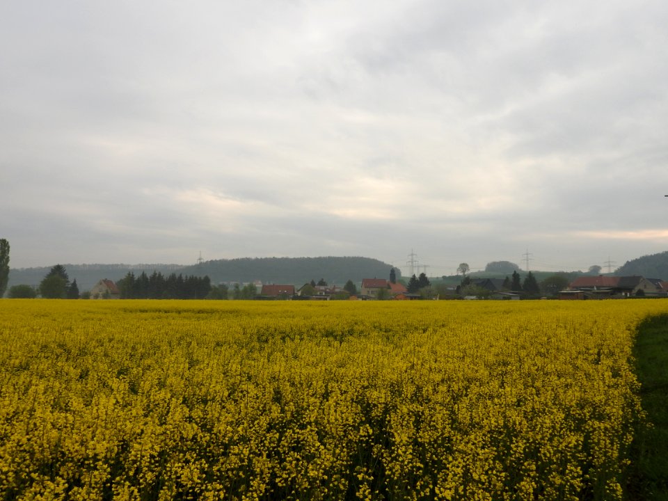 Untitz 07
