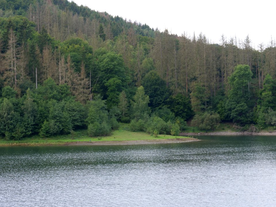 Urftsee in September 2019 27